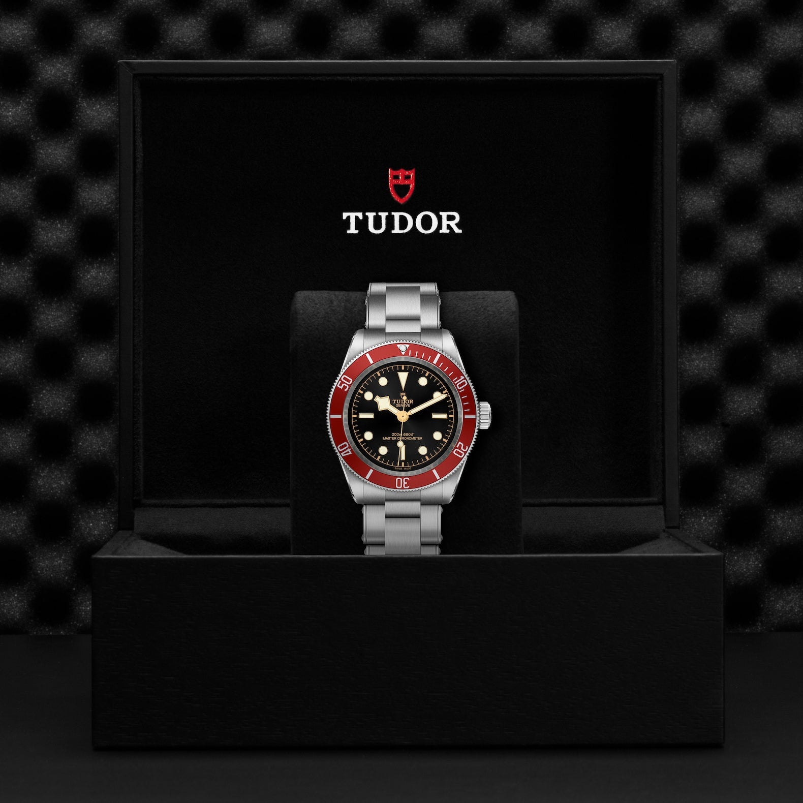 Shop Tudor Black Bay at Swiss Paradise | M7941A1A0RU-0001