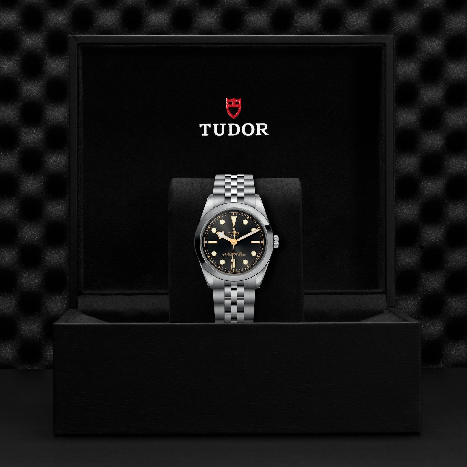Buy Tudor Black Bay 36 at Swiss Paradise | M79640-0001