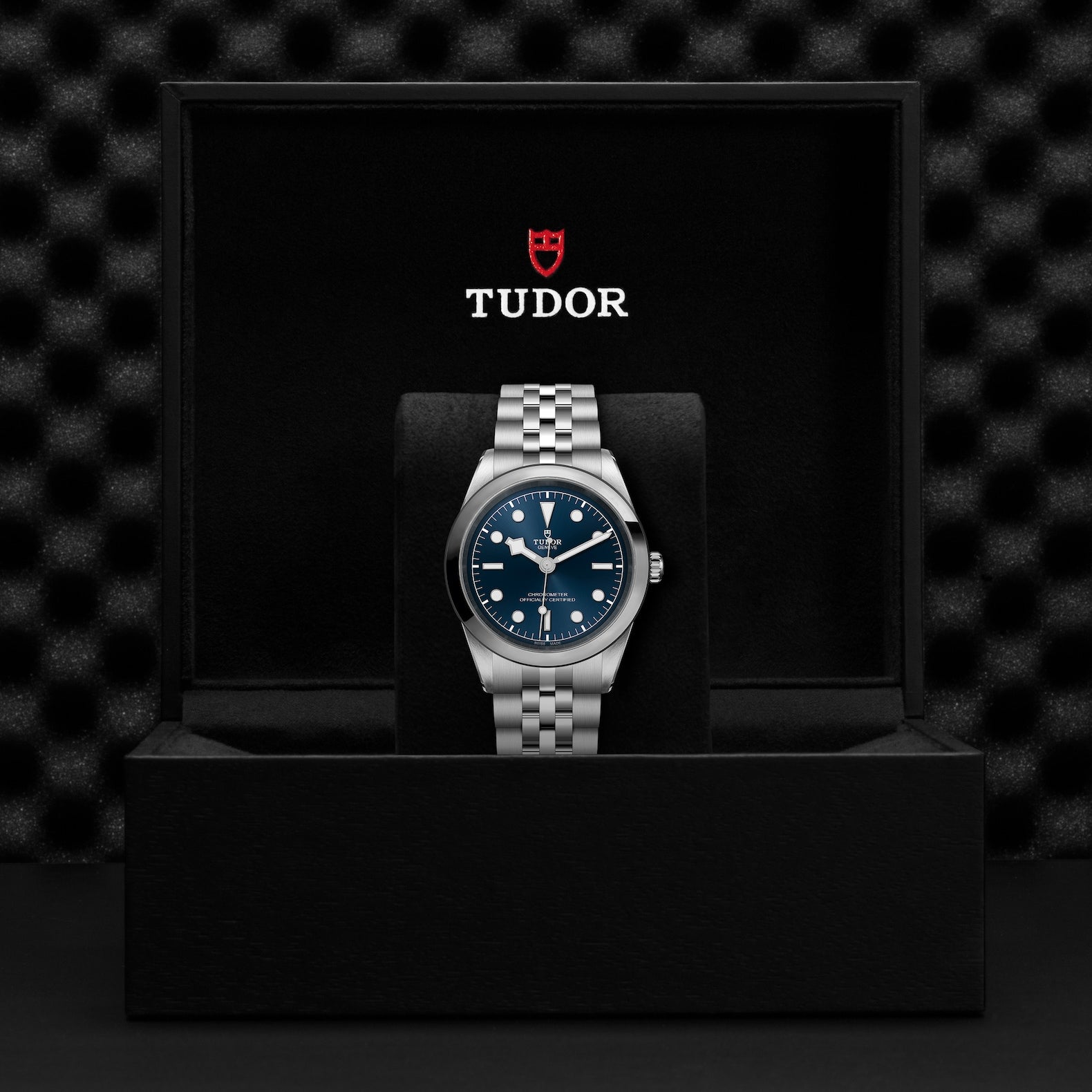 Shop Tudor Black Bay 41 at Swiss Paradise | M79680-0002